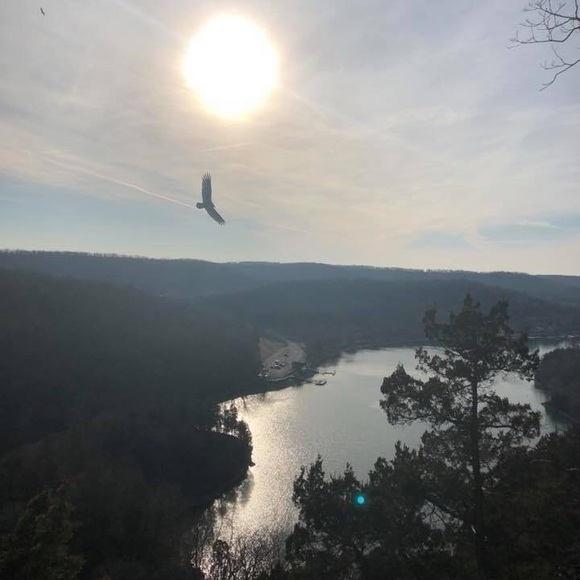 Meet your Posher, Tina - Picture 4 of 7